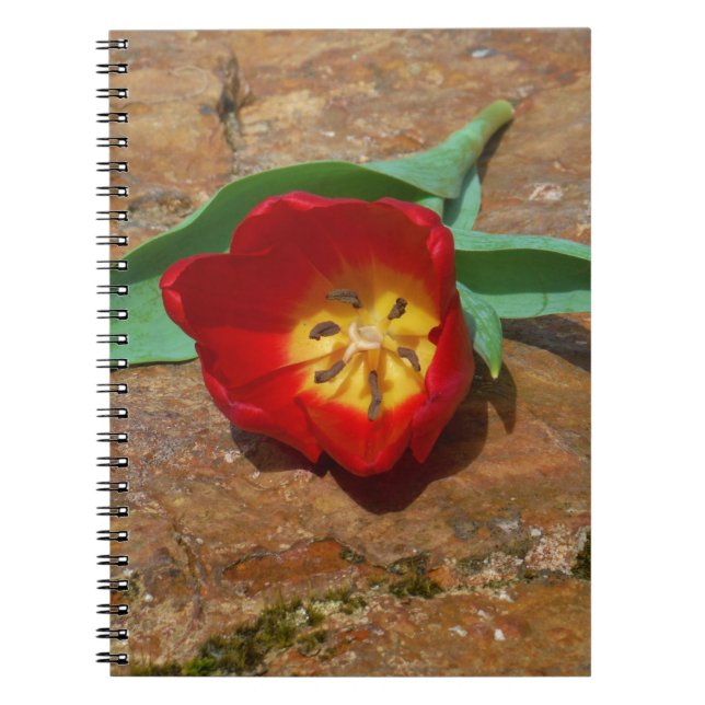 Caderno Espiral Tulipa Vermelha primavera (Frente)