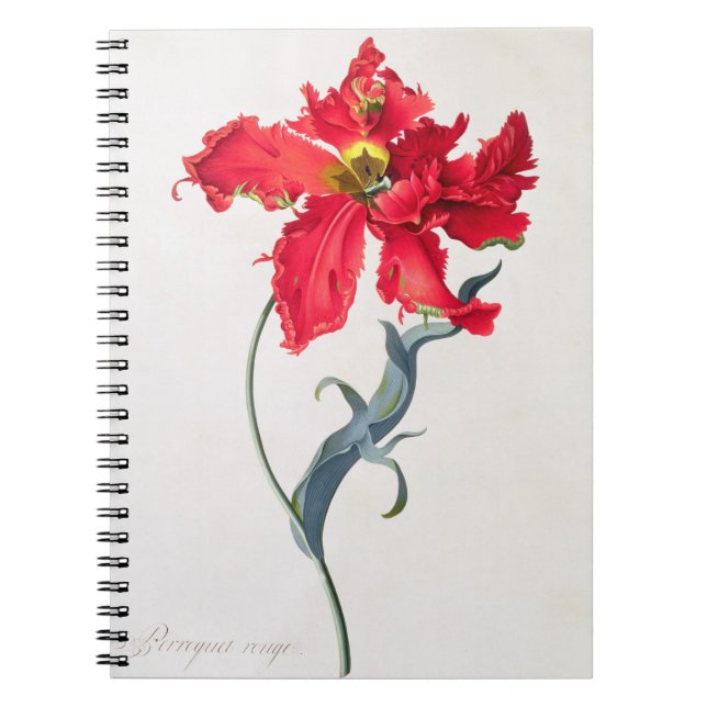Caderno Espiral Tulipa: Vermelho de Perroquet (Frente)