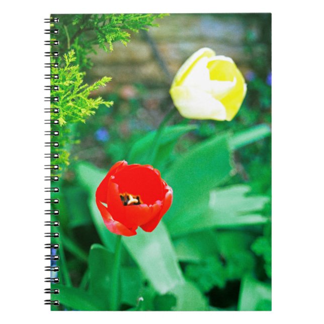 Caderno Espiral Tulipas (Frente)