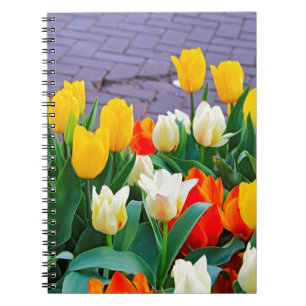 Caderno Espiral Tulipas