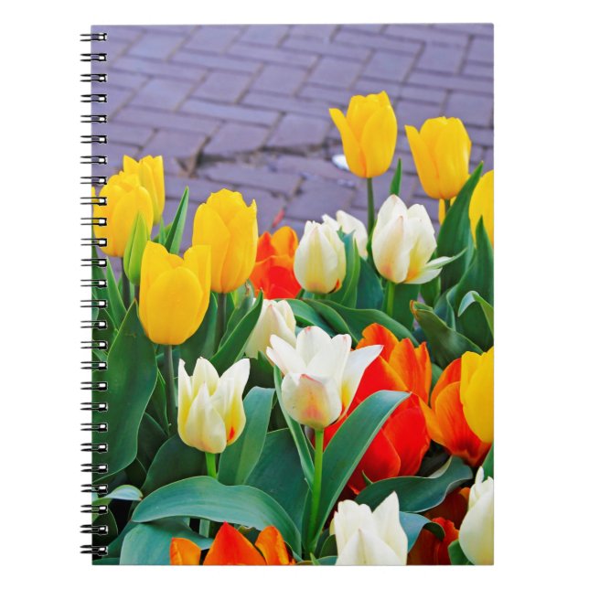 Caderno Espiral Tulipas (Frente)