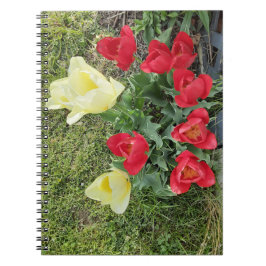 Caderno Espiral Tulipas