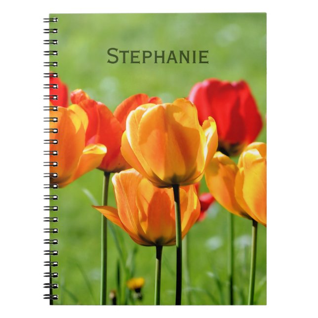 Caderno Espiral Tulipas Amarelas e Vermelhas (Frente)