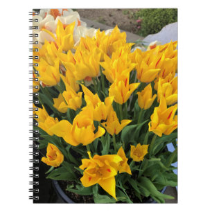 Caderno Espiral Tulipas Amarelas Únicas