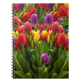 Caderno Espiral Tulipas Bris