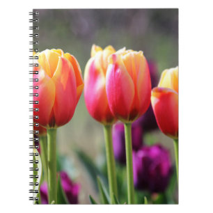 Caderno Espiral Tulipas de queda Achama