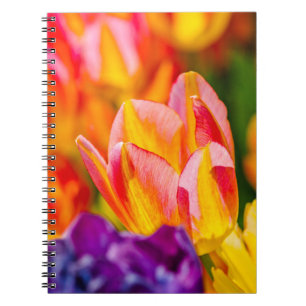 Caderno Espiral Tulipas Encantando