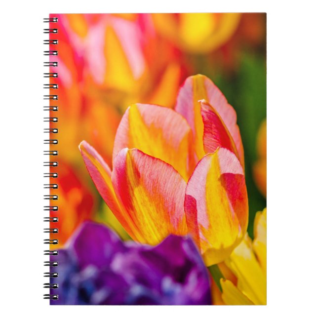 Caderno Espiral Tulipas Encantando (Frente)