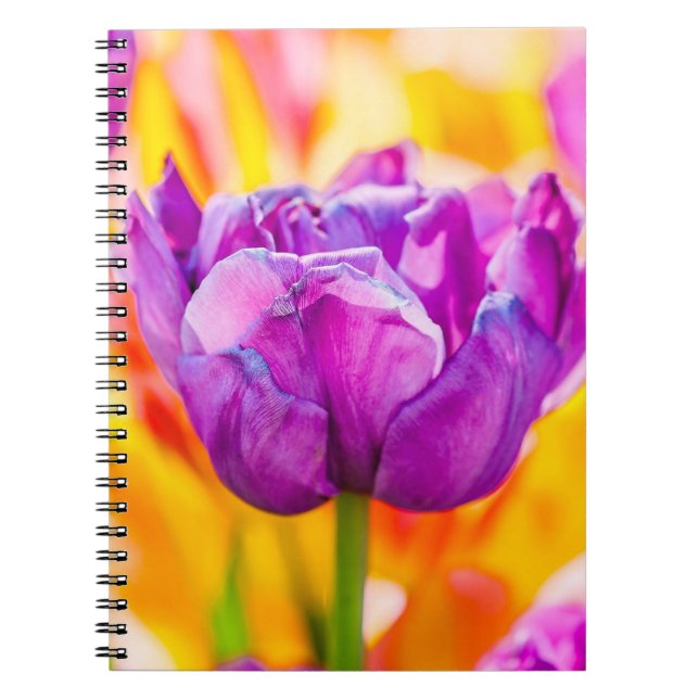 Caderno Espiral Tulipas Encantando 06 (Frente)