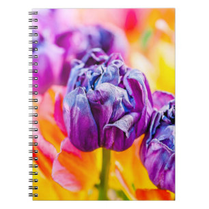 Caderno Espiral Tulipas Encantando 14