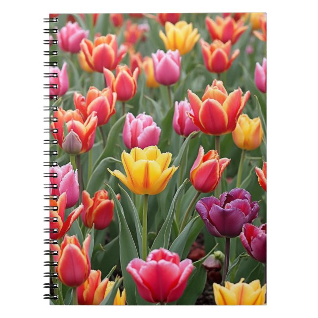 Caderno Espiral Tulipas Holandesas (Frente)