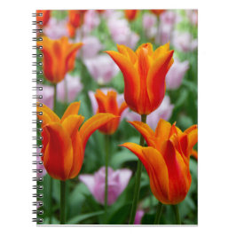 Caderno Espiral Tulipas laranja brilhante no parque   