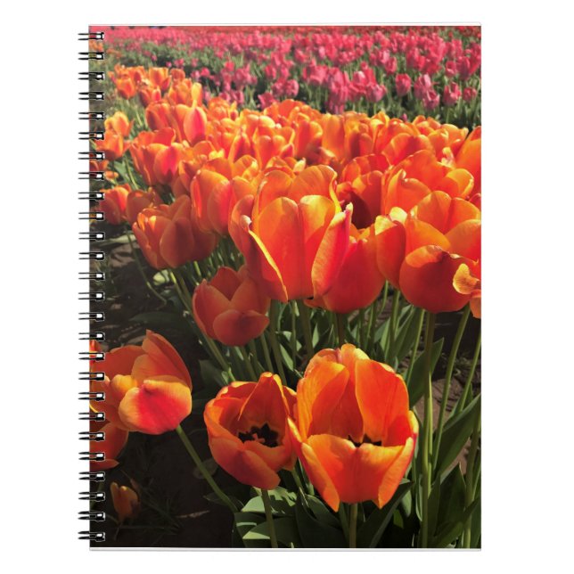 Caderno Espiral Tulipas laranja e vermelha (Frente)