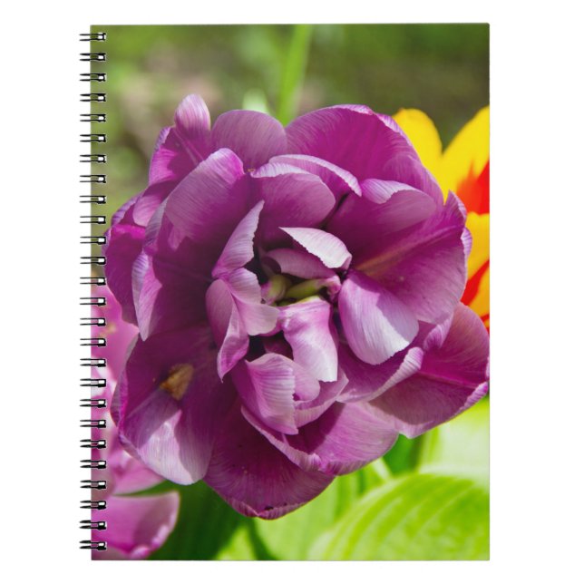 Caderno Espiral Tulipas lilás num dia ensolarado (Frente)
