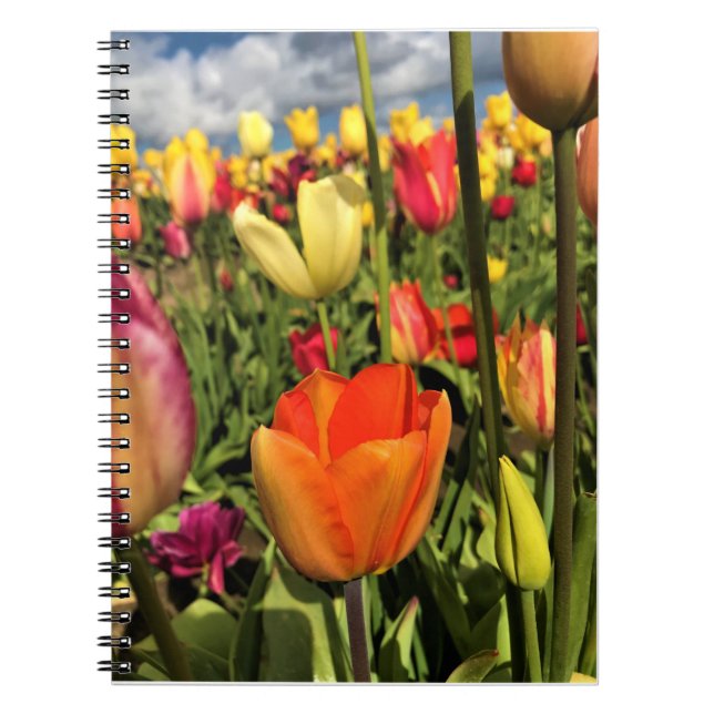 Caderno Espiral Tulipas Primavera coloridas (Frente)