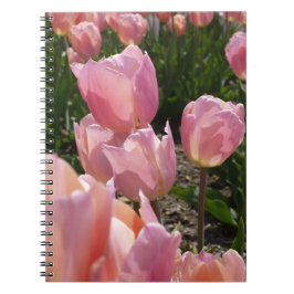 Caderno Espiral Tulipas Rosa