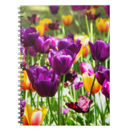 Caderno Espiral Tulipas roxas e amarelas fofas 