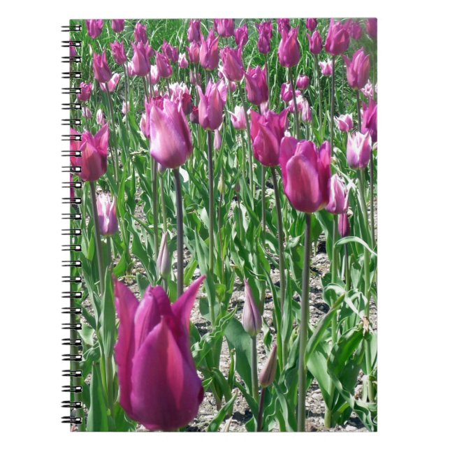 Caderno Espiral Tulipas Roxas Regais (Frente)