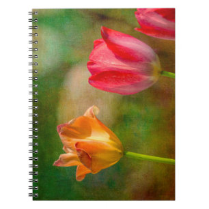 Caderno Espiral Tulipas vermelhas e amarelas sobre fundo texturiza