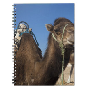 Caderno Espiral Tunísia, Deserto do Saara, Douz, Zona Turística,