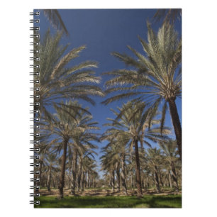 Caderno Espiral Tunísia, Deserto do Saara, Douz, Zona Turística, 2