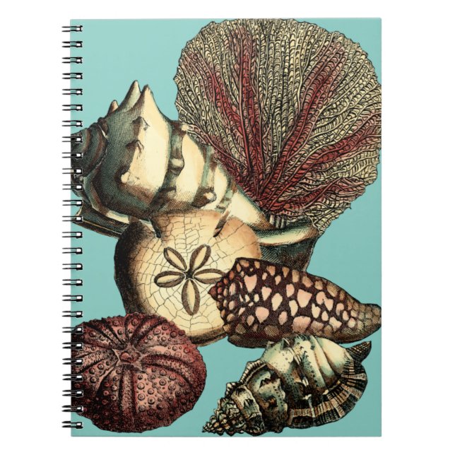 Caderno Espiral Turquesa Shell e Red Coral Collection (Frente)