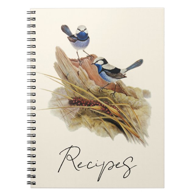 Caderno Espiral Turquoisina Superb Warbler, (Frente)