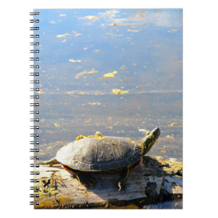 Caderno Espiral Turtle Notebook