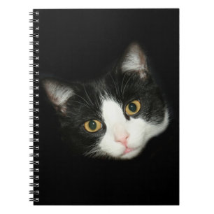 Caderno Espiral Tuxedo cat