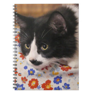 Caderno Espiral Tuxedo Cat
