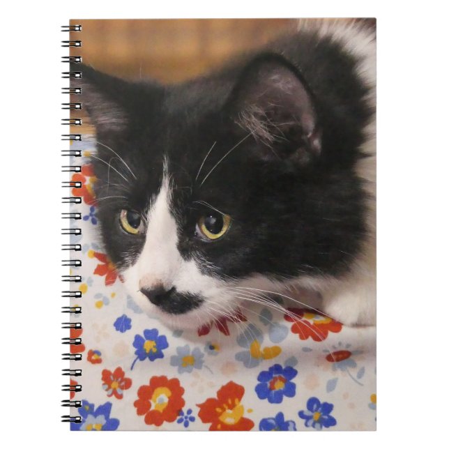 Caderno Espiral Tuxedo Cat (Frente)