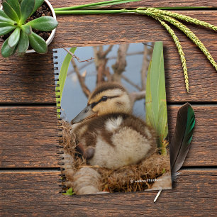 Caderno Espiral Um Batido de Mallard Bonito e Precoce