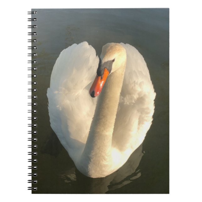 Caderno Espiral Um belo cisne (Frente)