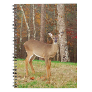 Caderno Espiral Um Caçador de Sonhos