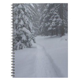 Caderno Espiral Um Caminho de Neve