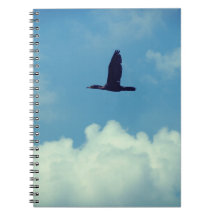 Um Cormorant em vôo