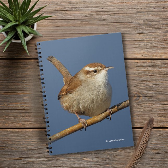 Caderno Espiral Um cunhado curioso na árvore (Curious Bewick's Wren on a Branch Journal Cover Photo)
