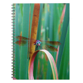 Caderno Espiral Um Dragonfly de Olhos Vermelhos com cattails