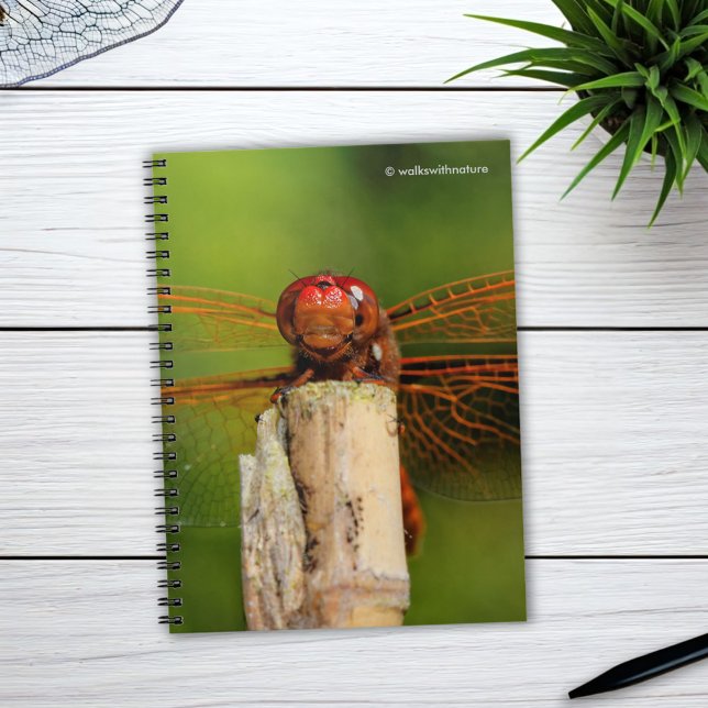 Caderno Espiral Um Dragonfly Vermelha Sorridente (A Smiling Red Dragonfly Journal Cover Photo)