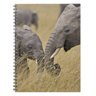 Caderno Espiral Um elefante africano pastando nos campos