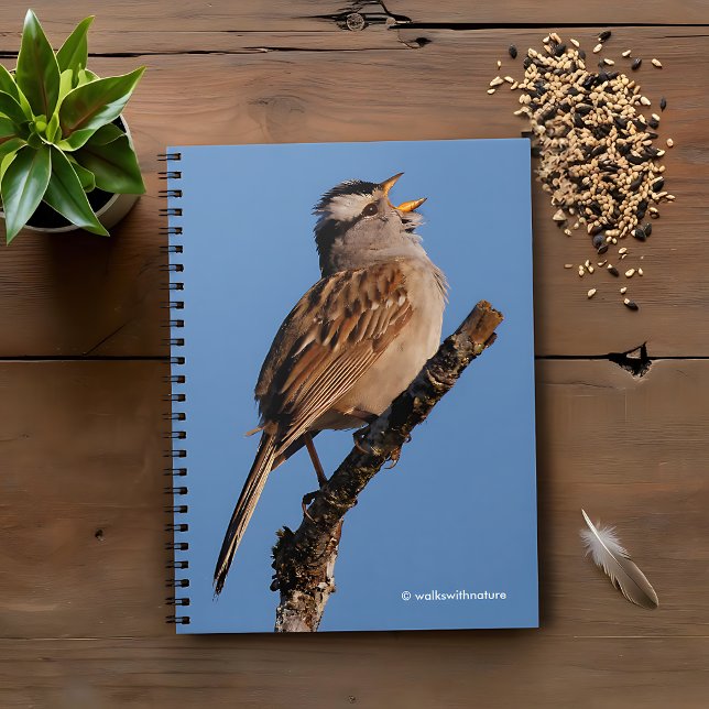 Caderno Espiral Um espantalho branco canta ao sol (White-Crowned Sparrow Sings to the Sun Journal Cover Photo)