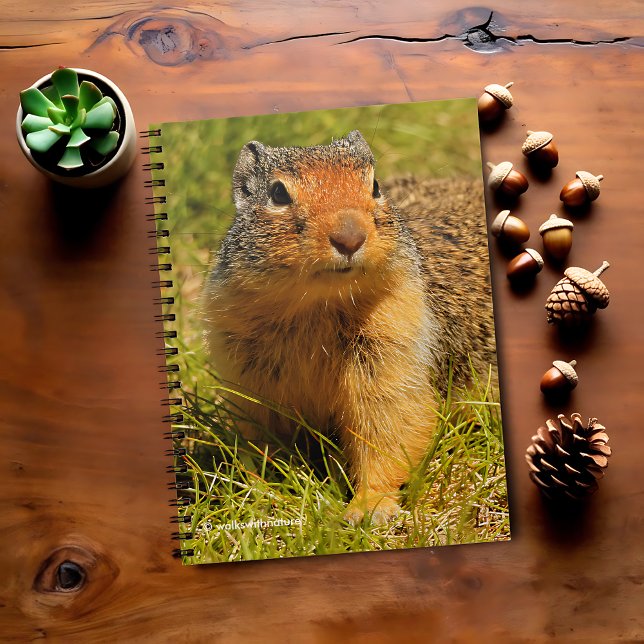 Caderno Espiral Um Esquilo Columbiano De Nossas Pontas Twitantes (Twitchy-Nosed Columbian Ground Squirrel Journal Cover Photo)