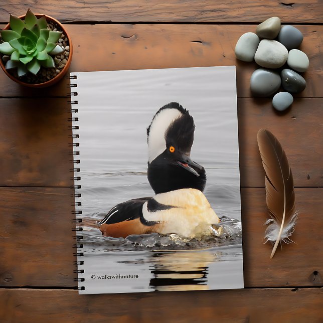 Caderno Espiral Um Merganser Hooded Surpreendido (Surprised Hooded Merganser in the Pond Journal Cover Photo)