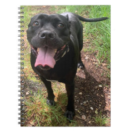 Caderno Espiral Um notebook Cane Corso X