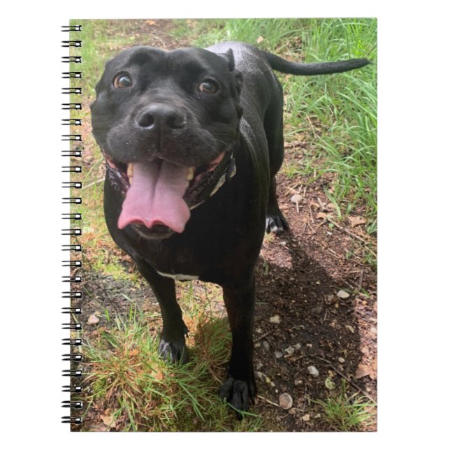 Caderno Espiral Um notebook Cane Corso X (Frente)