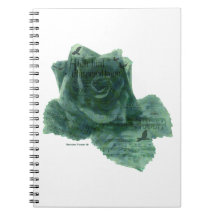 Um Pássaro Me Disse Rosa