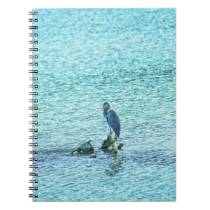 Caderno Espiral Um Pensador