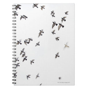 Caderno Espiral Um rebanho dos pássaros está voando no céu