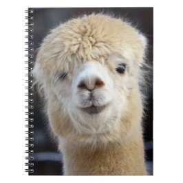 Caderno Espiral Um rosto fofo e fofinho de uma alpaca      