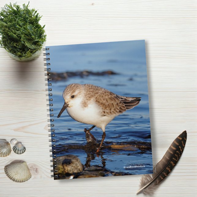 Caderno Espiral Um Sanderling Perambulante (Wandering Sanderling on the Beach Journal Cover Photo)